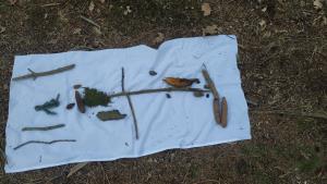 IMG_20200228_110130 (1)